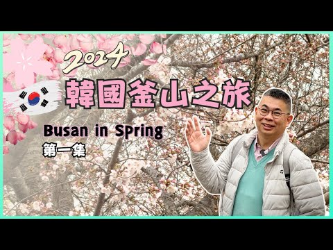 ［2024 韓國🇰🇷釜山之旅］EP01賞櫻必去🌸 鎮海慶和站🚂 大渚生態公園 餘左川羅曼史橋 😎 韓國美食吃不停 👍🏻 開箱海雲台華美達安可酒店 🏨 仲去行夜市食地道韓國小食 🔥Ft 韓國觀光公社邀請