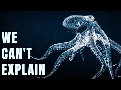 Nothing About the Octopus Belongs on Earth...