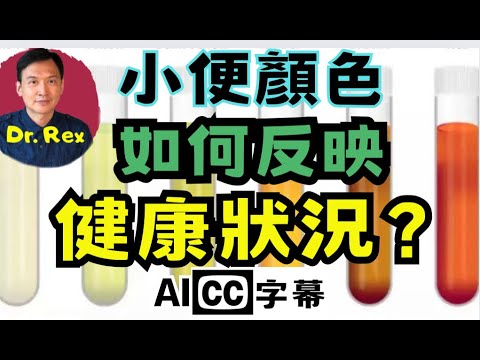 小便顏色如何反映健康狀況？