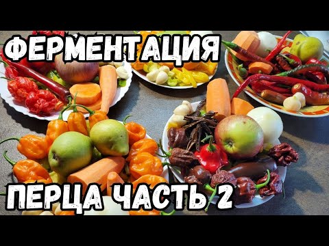 Part 2. 5 recipes for fermented hot pepper sauces: Carolina Reaper, Habanero, Cayenne, and others.