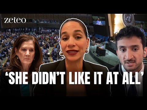 ‘She Didn’t Like It at All’: Noura Erakat Confronts the UN Over Gaza