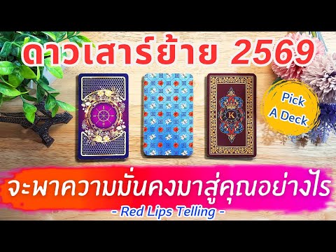 Pick A Deck: How will Saturn's transit in 2026 bring stability to your life? [2.5 years from now]