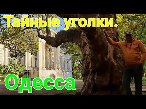 Одесса сегодня. Французский бульвар. Дача Ашкенази. Санаторий Чкаловский. Склоны Одессы.