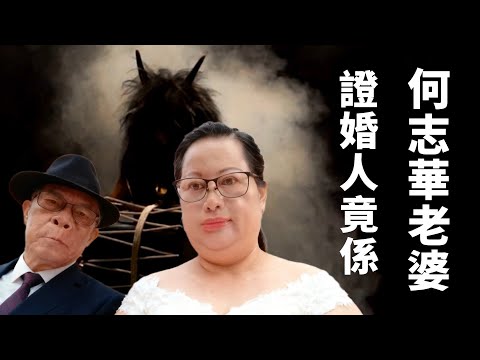 何伯接受訪問大爆料：證婚人是何太前夫何志華老婆丨三隻貓up竟然有新發現：證實何太講大話 前夫根本不是何志華！丨三隻貓咪超級煩人嘴不停 但造型太可愛 被網友原諒了😝