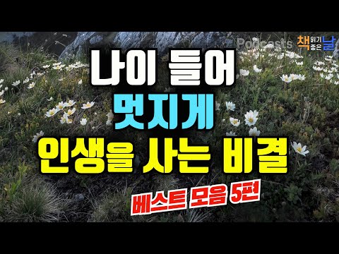 [나이 들어 멋지게 인생을 사는 비결] 마음이 편해지는 책듣고 힐링하기│수면 낭독│책읽어주는여자 오디오북 podcasts