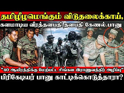 காட்டிக்கொடுத்தாரா தளபதி பானு ? தமிழீழமெங்கும் களம் ஆடிய வீரர்