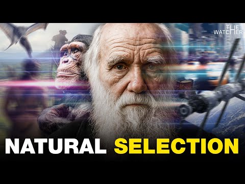 สารคดี ชาร์ลส์ ดาร์วิน | ทำไมผู้แข็งแกร่งเท่านั้นถึงอยู่รอด (อธิบายละเอียดชีวิตและทฤษฎี)