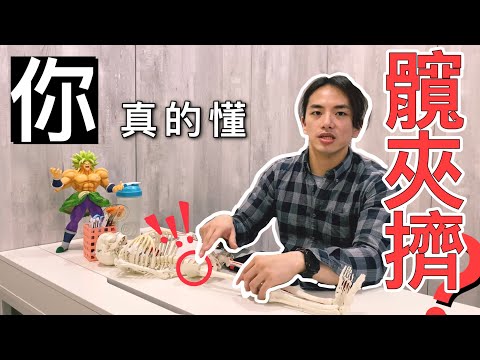 「你真的懂髖夾擠嗎？」久坐的你，可能也有的困擾！