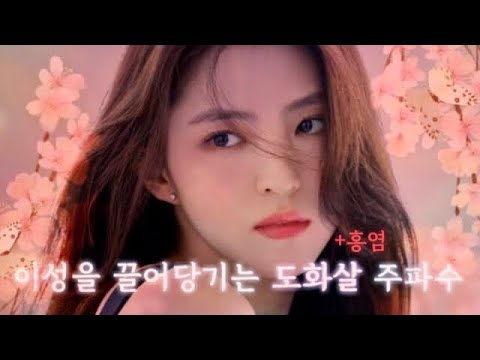 🌸Dohwa & Hongyeom Pheromone Energy♨️•Intense Rain Sounds Lake•Attracting Charm,Beauty,Popularity