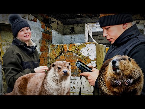 THE OLD HOUSE AND ITS SECRETS IN THE HAMLET: hunting, a Russian stove, and a lake in the forest.