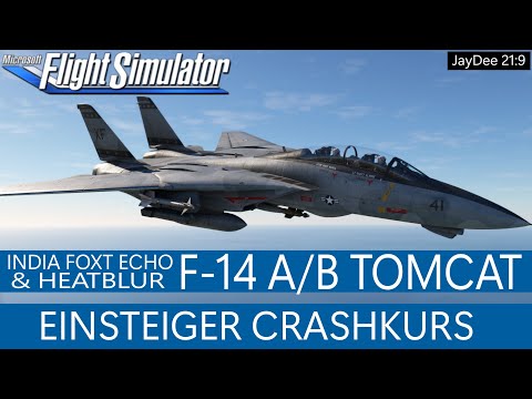 IFE/Heatblur - F-14 TOMCAT - Top Addon - Crashkurs ★ MSFS 2020 Deutsch