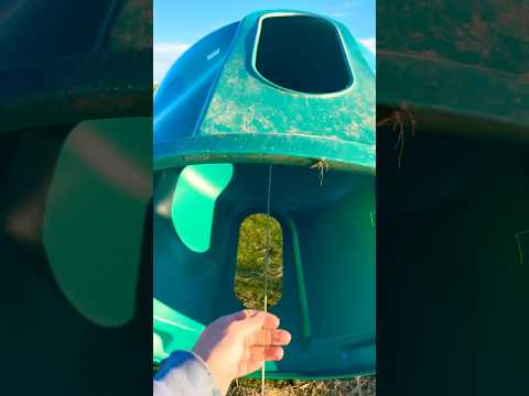 hay for horses 😁 #horse #horselover #villagelife #machine