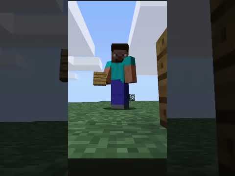 That one Minecraft edit