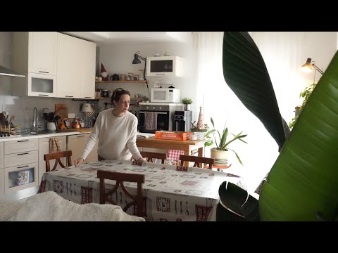 Ho costruito il mio presepe in giardino, Panettone Brioche, cucito un cappello, Vlog semplice