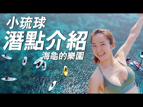 【潛水】體驗潛水必來海龜的天堂-小琉球！還有那群默默守護海洋安全的海巡人員，到底工作內容有什麼？｜一輪的運動日常 #水肺 #海洋委員會 #海巡署 #海洋保育署