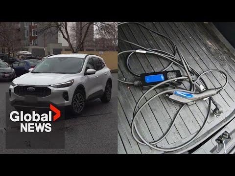 Ford owner wants buyback after recall on hybrid vehicle over battery fire risk