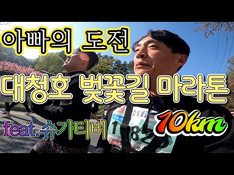 [슈가티비] 제 37화 2024년 대청호 벚꽃길 마라톤 10km (아빠의 도전)