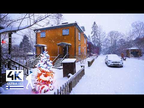 Helsinki Suburbs Snowfall Walk ☃️ FINLAND - Slow TV 4K