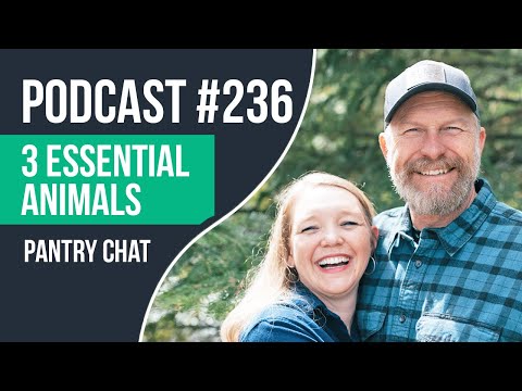 The 3 Essential Animals Every Homestead Needs to Be Resilient!!