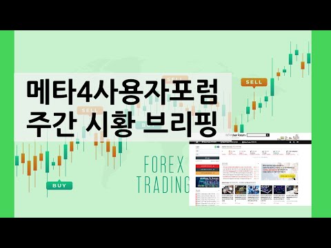 메타4 사용자 포럼 주간시황 2025.12.21 일