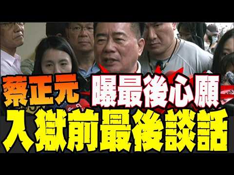 [CC Subtitles] Slamming the Green Tyranny! Tsai Cheng-yuan's Last Speech Before Imprisonment Reve...
