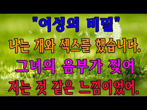 「외로움 끝에 만난 그림자」