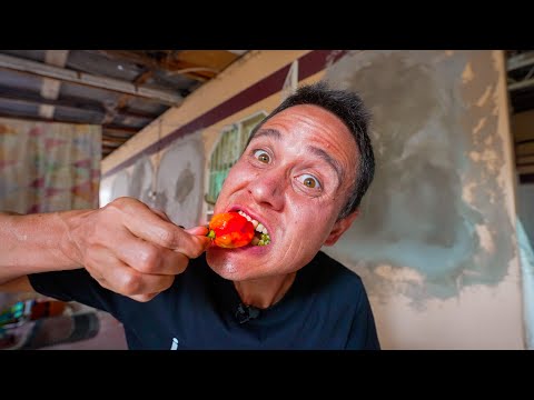 1,463,700 Scoville!! 🌶 SCORPION CHILI PEPPERS - Spiciest Food in Trinidad & Tobago!!