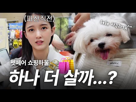 🐶머털 공주님의 쇼핑 하울~👛✨연말 멍템은 이걸로 정했다😍 2023 메가 주 펫페어 브이로그