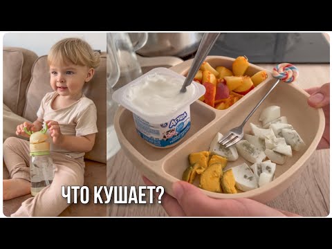 ЧТО ЕСТ МОЙ 1,5 ГОДОВАЛЫЙ РЕБЕНОК В ТЕЧЕНИИ ДНЯ🥑🍌🍎 ДЕТСКОЕ МЕНЮ🍼