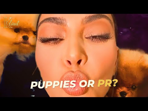Kim Kardashian vs PETA — Puppies, Power & Celebrity Responsibility