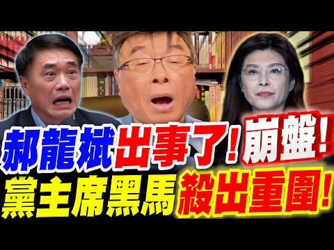 【全字幕】郝龍斌出事了！要崩盤了！？黨主席出現黑馬！殺出重圍？邱毅分析國民黨主席選舉#羅智強#張亞中#辯論#TVBS