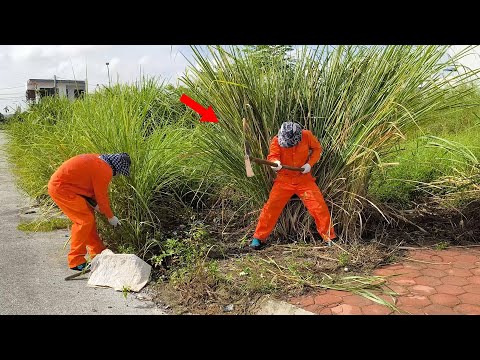 After 15 Years, The Whole Neighborhood was Shocked when We Found Their Sidewalk Again