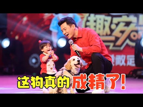 “狗爸爸”高明携宠物狗狗台上表演，上演奇趣表演秀，全场被狗狗萌翻，比小孩还聪明说话唱歌样样都行！【草根传奇】