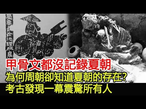 甲骨文都沒記錄夏朝，為何周朝卻知道夏朝的存在？考古發現一幕震驚所有人︱夏朝︱甲骨文︱考古︱奇聞︱文物#風雲史記