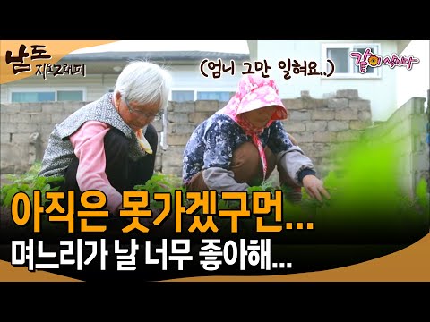 [남도지오그래피] 아들 떠나고서 못 살거 같더니..아직은 못가겠구먼...며느리가 날 너무 좋아해...| KBS 2017.06.01,