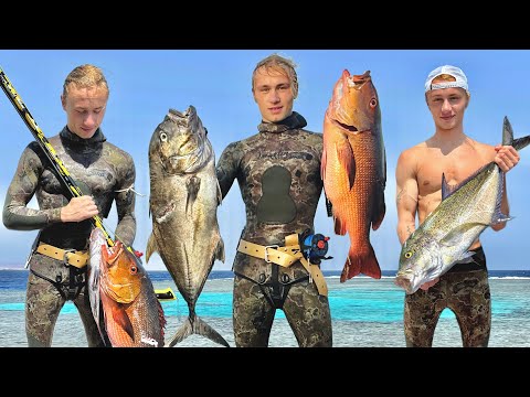 Underwater Diving in Paradise – the Red Sea