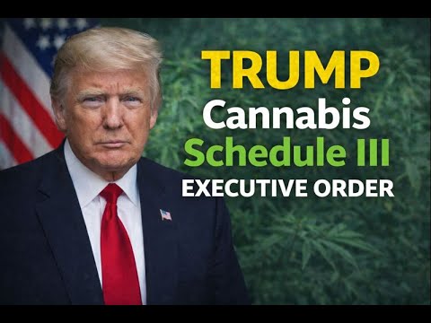 Trump Cannabis Schedule III Executive Order