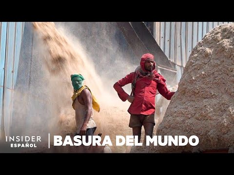 Cómo los platos de caña de azúcar podrían reducir el uso de plástico de India | Basura del mundo