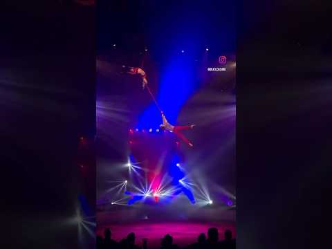 13th Festival Internacional del Circ Elefant d'Or  / 2025