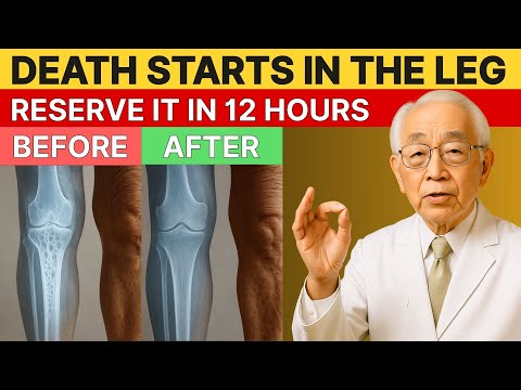 Japan's Oldest Doctor: 8 Foods That Restore Leg Power in 12 Hours Over 60