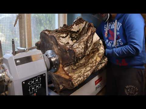 Woodturning - The Big Birch!