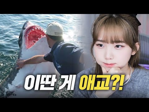 이런 상어면 나도 이길 수 있을 거 같은데?