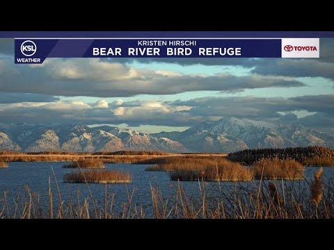 Morning weather forecast for Dec. 8, 2025