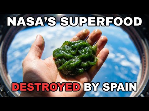 NASA Feeds This to Astronauts. The Spanish Destroyed Every Lake That Grew It