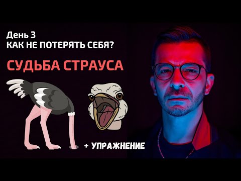 Какая судьба ждёт страуса? | День 3. Спринт «Как не потерять себя?»