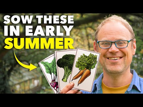 Last Chance: Sow these 7 Crops in Early Summer