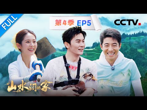 【Full】撒贝宁“割韭菜”累到虚脱，李晨泥塘抓鸭庆丰收 | CCTV「山水间的家 第四季」第5期 20251005