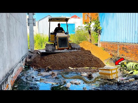 Start New Wonderful Project! Using Dozer Pushing Sand Delete Flooded Garbage with 5Ton Truck