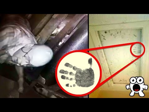 Незнакомцы, Которые Жили В Чужих Домах