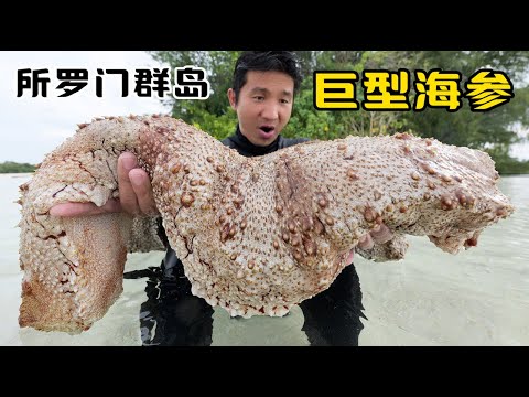 《所罗门群岛》第6集:深入南太平洋无人岛,不仅海参泛滥,就连个头也是粗如大腿!#海参 #抓龙虾 #赶海 #潜水 #荒岛探索 #抓螃蟹 #海鲜美食